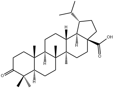 Dihydrobetulonicacid 结构式