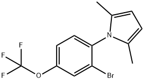 1-(2-溴-4-(三氟甲氧基)苯基)-2,5-二甲基-1H-吡咯 结构式