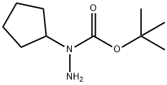 Hydrazinecarboxylic acid, 1-cyclopentyl-, 1,1-dimethylethyl ester (9CI) 结构式