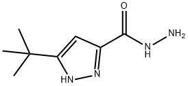 3-(叔丁基)-1H-吡唑-5-甲酰肼 结构式