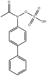 N-(1,1'-Biphenyl)-4-yl-N-(sulfooxy)acetamide 结构式