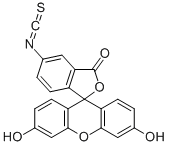 Fluorescein5(6)-isothiocyanate