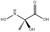 Alanine, N,2-dihydroxy- (9CI) 结构式
