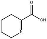 3,4,5,6-tetrahydropyridine-2-carboxylic acid 结构式