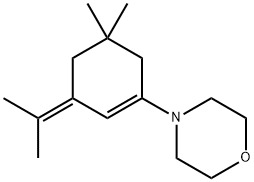 4-[5,5-Dimethyl-3-(1-methylethylidene)-1-cyclohexen-1-yl]morpholine 结构式