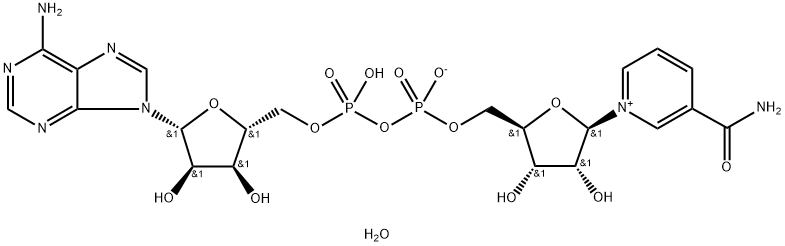 Β-NAD四水合物 结构式