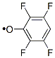 Phenoxy,  2,3,5,6-tetrafluoro- 结构式