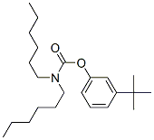 N,N-Dihexylcarbamic acid 3-tert-butylphenyl ester 结构式