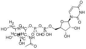 URIDINE DIPHOSPHATE N-ACETYL-D-GLUCOSAMINE, [GLUCOSAMINE-14C(U)] 结构式