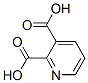 吡啶二羧酸 结构式