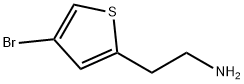2-(4-溴-2-噻吩)-乙胺 结构式