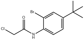 N1-[2-BROMO-4-(TERT-BUTYL)PHENYL]-2-CHLOROACETAMIDE 结构式