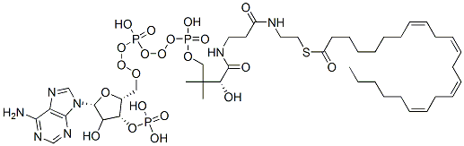 S-[2-[3-[[(2R)-4-[[[(2R,3R,5R)-5-(6-aminopurin-9-yl)-4-hydroxy-3-phosphonooxyoxolan-2-yl]methoxy-hydroxyphosphoryl]oxy-hydroxyphosphoryl]oxy-2-hydroxy-3,3-dimethylbutanoyl]amino]propanoylamino]ethyl] (8Z,11Z,14Z,17Z)-tricosa-8,11,14,17-tetraenethioate 结构式