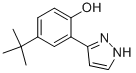 3-(2-HYDROXY-5-TERT-BUTYLPHENYL)PYRAZOLE 结构式