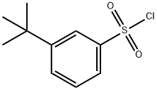 3-(tert-Butyl)benzene-1-sulfonylchloride