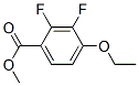 Benzoic acid, 4-ethoxy-2,3-difluoro-, methyl ester (9CI) 结构式