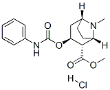 methyl (1S,2S,3S,5R)-8-methyl-3-(phenylcarbamoyloxy)-8-azabicyclo[3.2. 1]octane-2-carboxylate hydrochloride 结构式