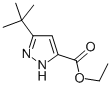 5-TERT-BUTYL-2H-PYRAZOLE-3-CARBOXYLIC ACID ETHYL ESTER