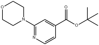 2-(4-吗啉基)-吡啶-4-羧酸叔丁酯 结构式