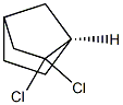 Norbornane, 2,2-dichloro-, (1R)-(-)- (8CI) 结构式