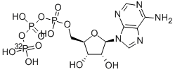 [gamma-32P]-ATP 结构式