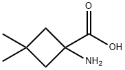 Cyclobutanecarboxylic acid, 1-amino-3,3-dimethyl- (8CI,9CI) 结构式