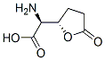 2-Furanaceticacid,alpha-aminotetrahydro-5-oxo-,(alphaS,2S)-(9CI) 结构式