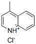 4-methylquinolinium chloride  结构式