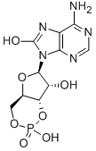 7,8-DIHYDRO-8-OXOADENOSINE-3':5'-CYCLIC MONOPHOSPHATE