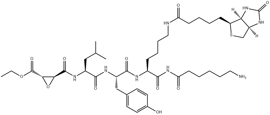 DCG04