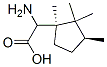 Cyclopentaneacetic acid, -alpha--amino-1,2,2,3-tetramethyl-, (1R,3S)- (9CI) 结构式