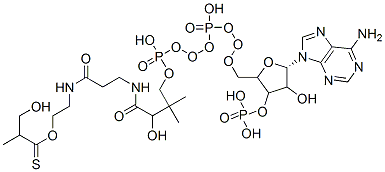 S-[2-[3-[[4-[[[5-(6-aminopurin-9-yl)-4-hydroxy-3-phosphonooxyoxolan-2-yl]methoxy-hydroxyphosphoryl]oxy-hydroxyphosphoryl]oxy-2-hydroxy-3,3-dimethylbutanoyl]amino]propanoylamino]ethyl] 3-hydroxy-2-methylpropanethioate 结构式