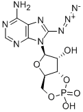 8-叠氮基腺苷基 3':5'-环状单磷酸酯 结构式