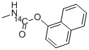 CARBARYL-NAPHTHALENE-1-14C 结构式