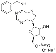 6-BN-CAMP SODIUM SALT 结构式