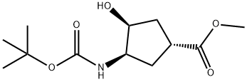 (1R,2S,4R)-N-BOC-1-AMINO-2-HYDROXYCYCLO-PENTANE-4-CARBOXYLIC ACID METHYL ESTER 结构式