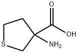 3-氨基四氢噻吩-3-羧酸 结构式