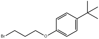 1-(3-溴丙氧基)-4-(叔丁基)苯 结构式
