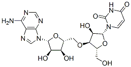 腺苷酰基-(3',5')-尿苷 结构式