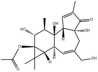 PHORBOL13-ACETATE