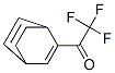 Ethanone, 1-bicyclo[2.2.2]octa-2,5-dien-2-yl-2,2,2-trifluoro- (9CI) 结构式