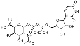 URIDINE DIPHOSPHATE N-ACETYL-D-GALACTOSAMINE, [GALACTOSAMINE-6-3H(N)] 结构式
