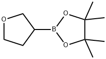 四氢呋喃-3-硼酸频哪醇酯 结构式