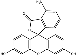 4-aminofluorescein 结构式