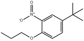 对叔丁基邻硝基苯丙醚 结构式