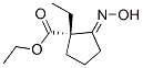 Cyclopentanecarboxylic acid, 1-ethyl-2-(hydroxyimino)-, ethyl ester, (1S)- (9CI) 结构式