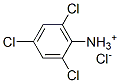 2,4,6-trichloroanilinium chloride 结构式