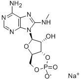 8-MA-CAMP SODIUM SALT