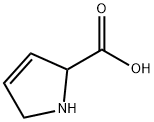 3,4-脱氢-DL-脯氨酸 结构式