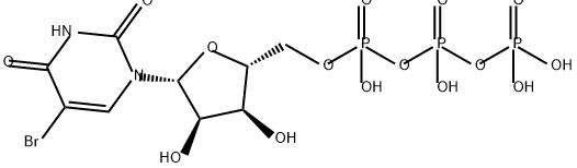 5-bromouridine triphosphate 结构式